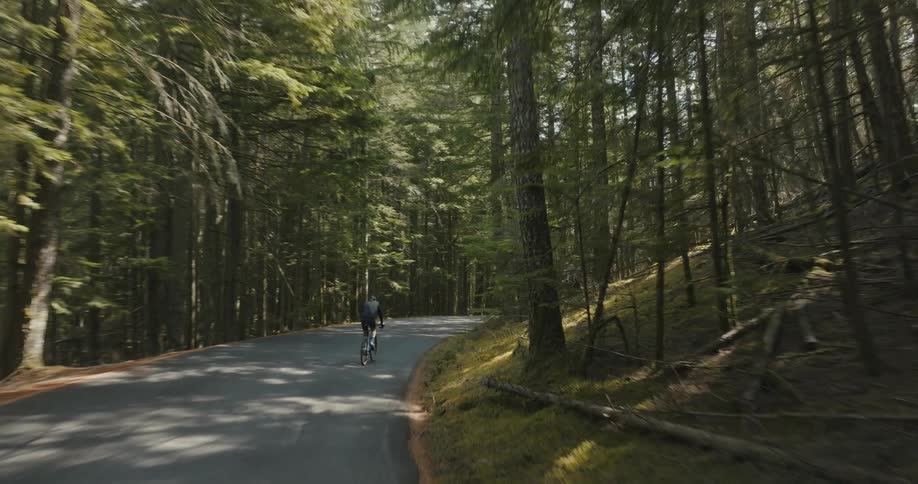 A person cycles on a road through a forest