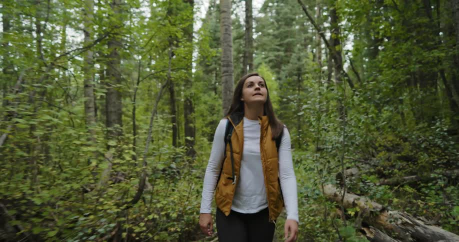 A woman wearing a backpack is walking on a trail in the woods and looking at the trees