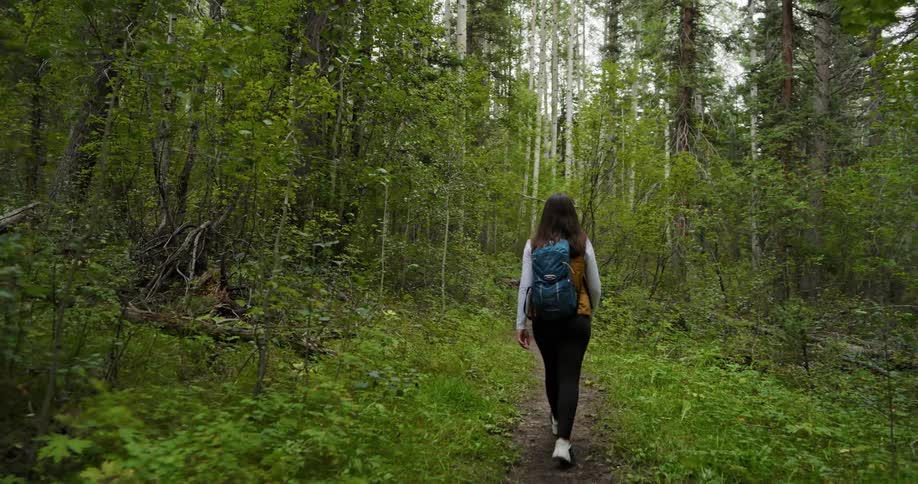 A woman wearing a backpack is walking on a trail in the woods