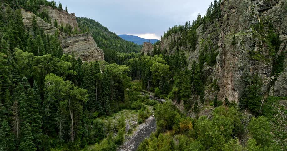 An aerial view of a river funning below cliffs in a forest
