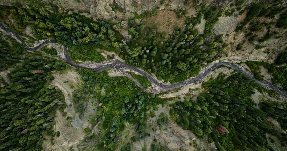 A river at the base of a rock cliff wall winds and curves through the trees