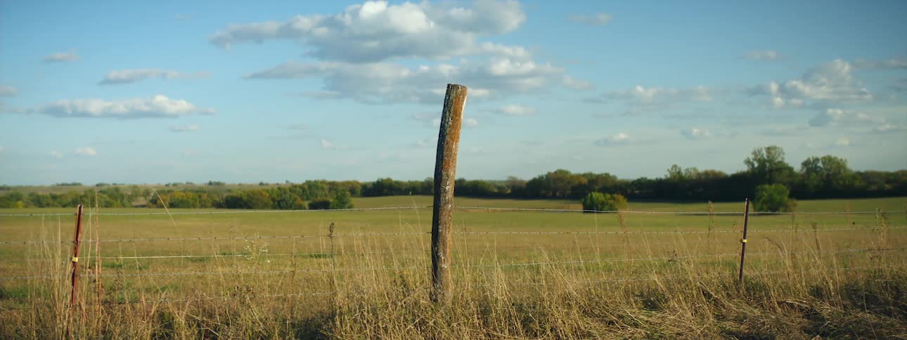 Landscape of field with a fencepost