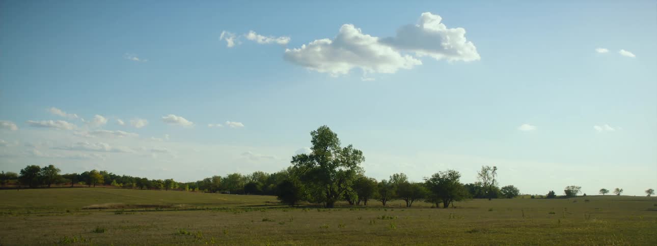 A view of a field outdoors on a sunny day