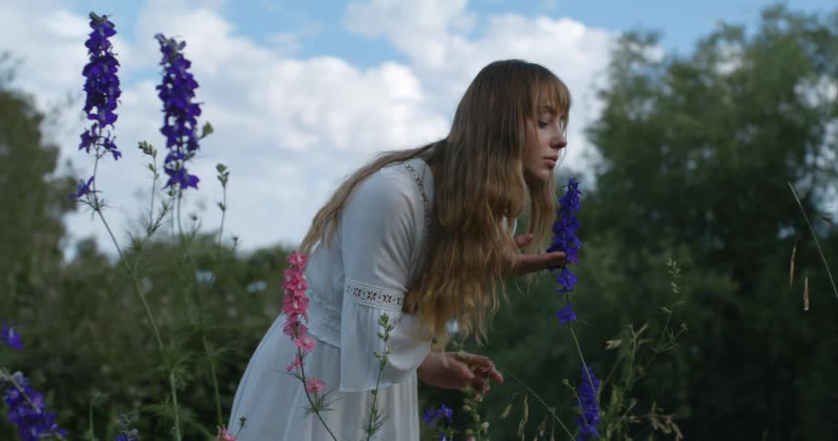 A woman smells lavender on the field