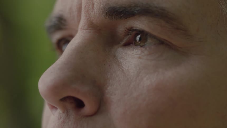 A brown-eyed man gazing into the distance