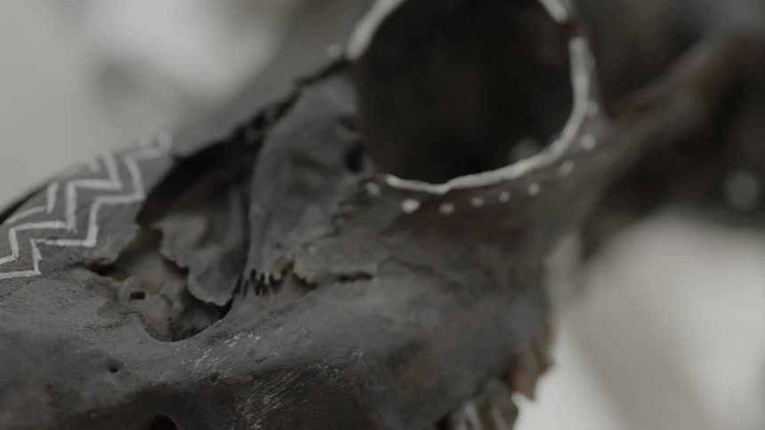 An animal jawbone with painted decoration