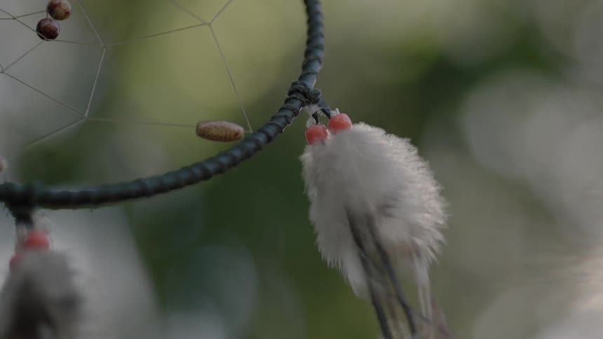 A breeze rustles feathers attached to a dreamcatcher
