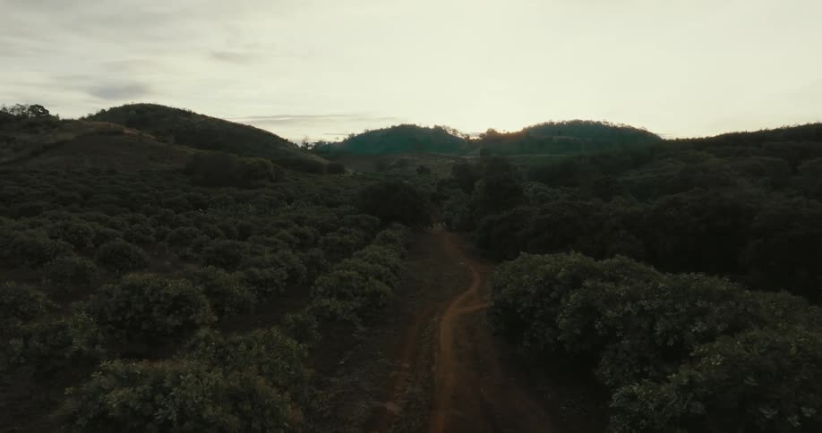 A man walks along a narrow dirt trail through a hilly countryside in the evening