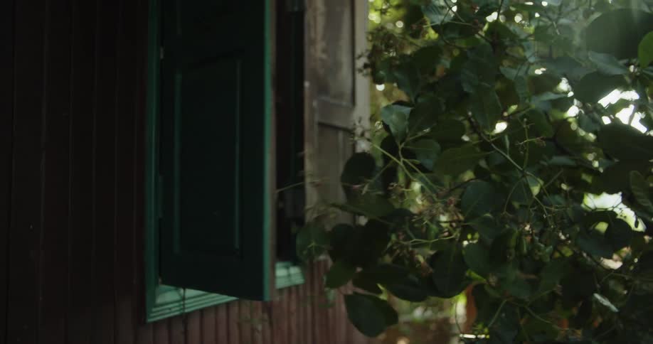 A person opens the shutters at their home