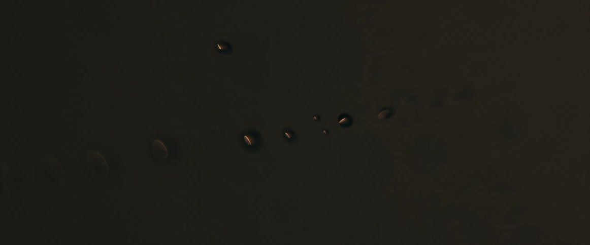 Water droplets form on a petri dish under a microscope