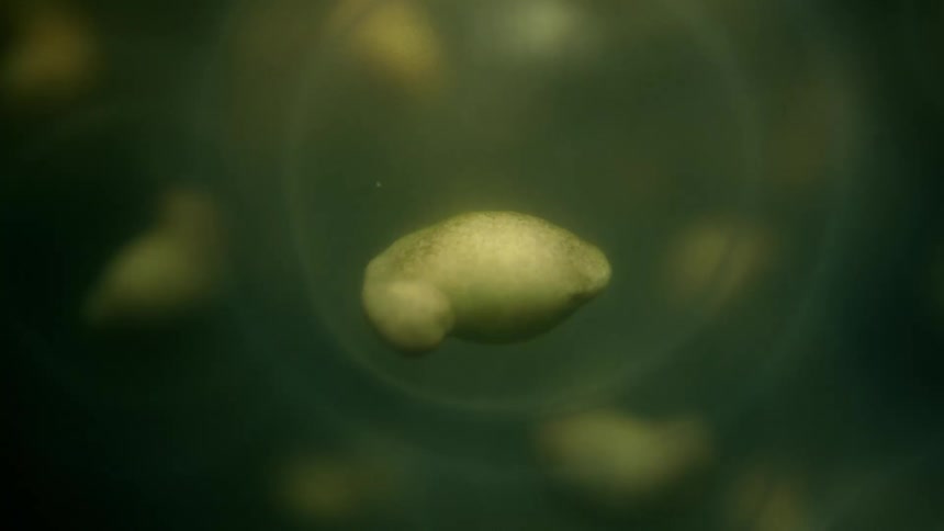 Flashing lights and a close up of small spherical objects