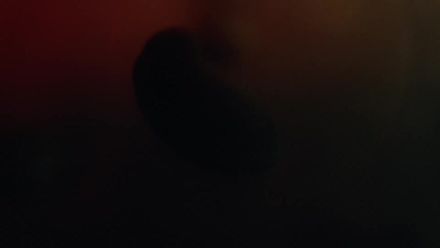 A small seed sits on a petri dish in a microscope