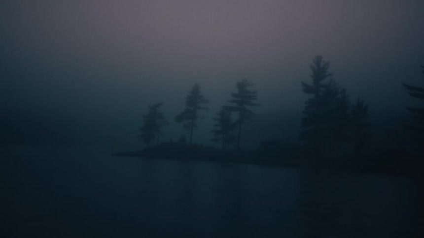 Dense fog covers trees and shore of water