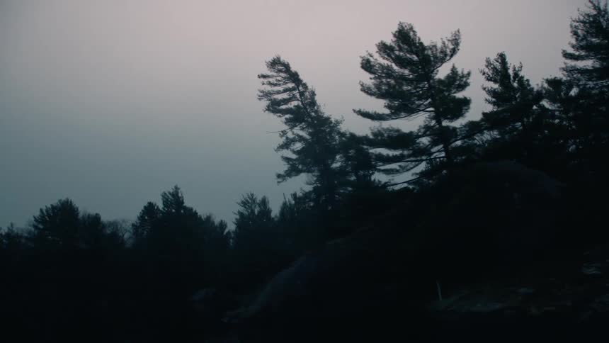 Pine trees on small islands next to bodies of water in the evening