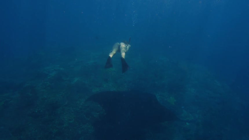 A stingray is swimming along behind a woman underwater