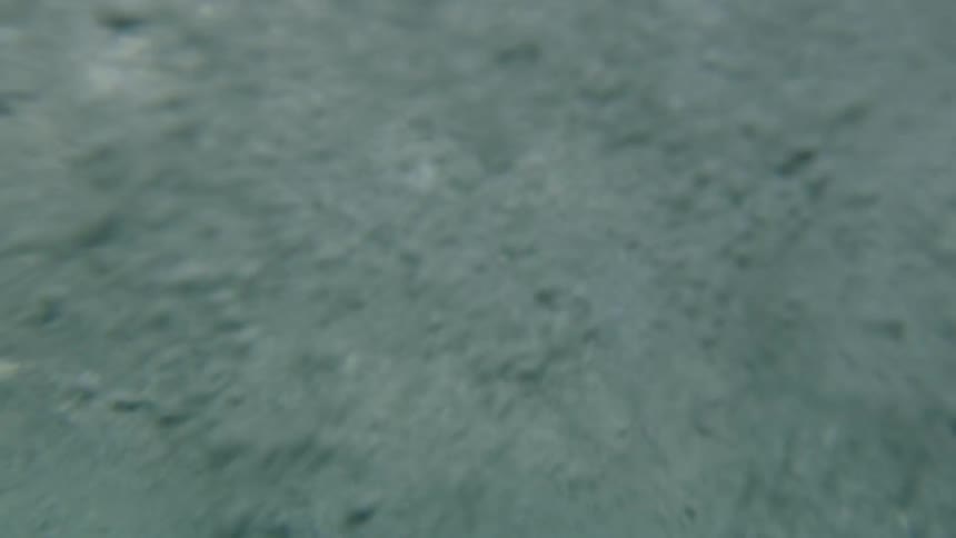 Crashing waves visible from underneath create bubbles and briefly reveal the sky