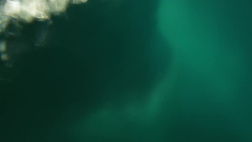 A large wave crashes