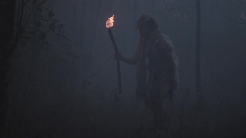A man walking through a smokey forest while carrying a torch