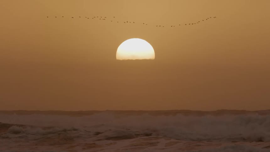 The silhouette of a flock of birds flying across a golden sky as the sun sets above ocean waves