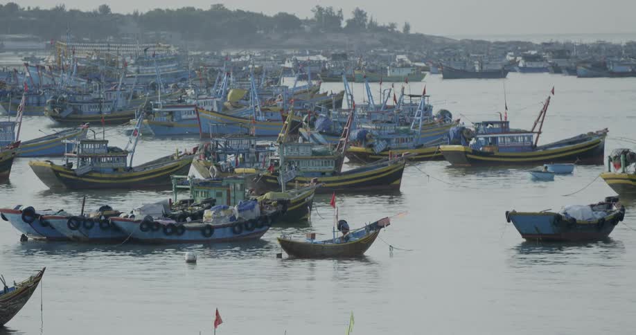 A pan navigates a boat through the mass of boats floating near the coast of landmass on a foggy day