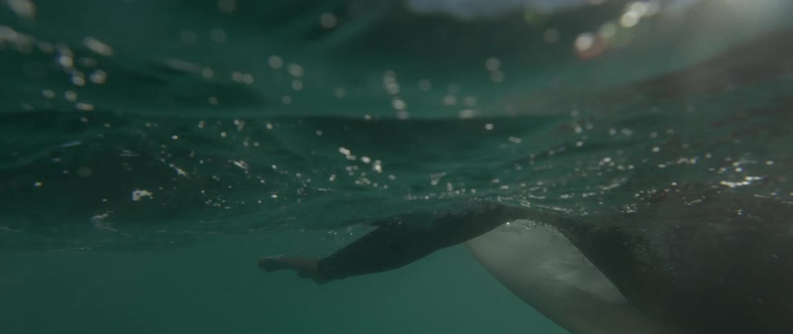 Someone paddling a surfboard