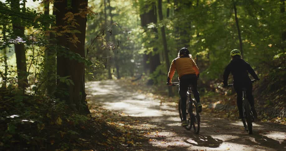 Two people are riding bikes through a forest