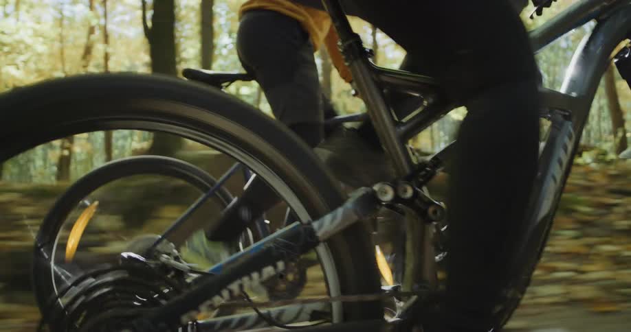 Two people cycle through a forest