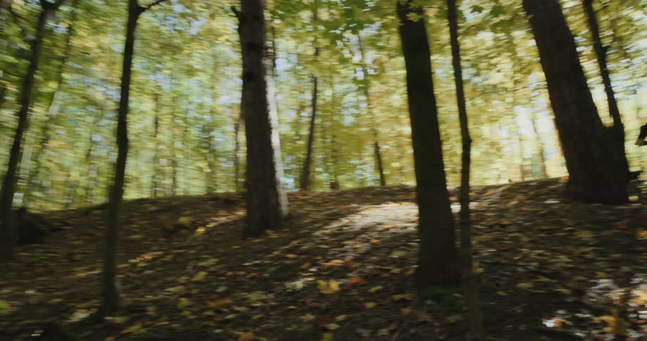 A view of two people riding bicycles