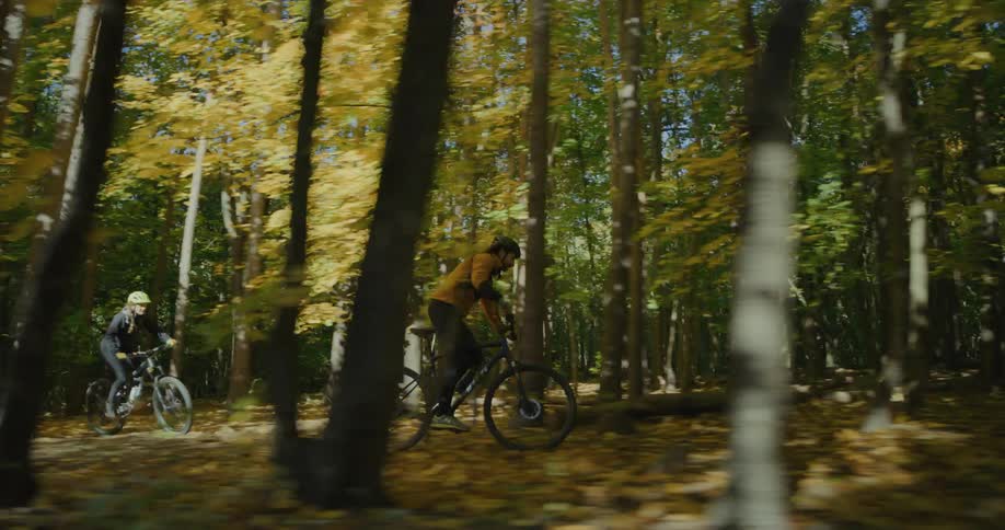 Two people riding bikes in a forest