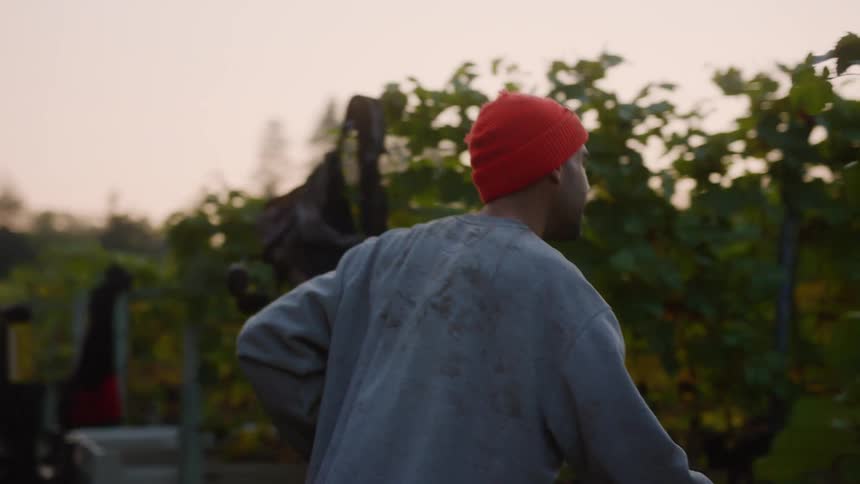 Man pulls cart behind him while entering vine covered gate and leaving person sitting in a tractor