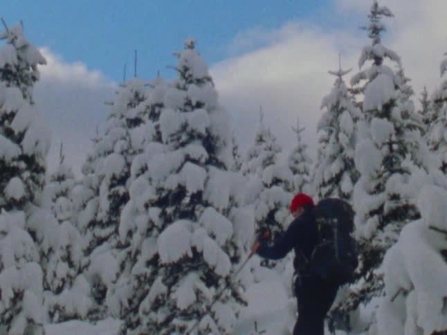 Man trekking on a pine tree forest covered in snow at morning caught on vintage film