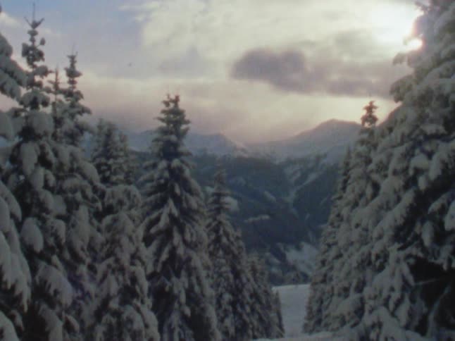The view is of the outdoors nature area in the winter time