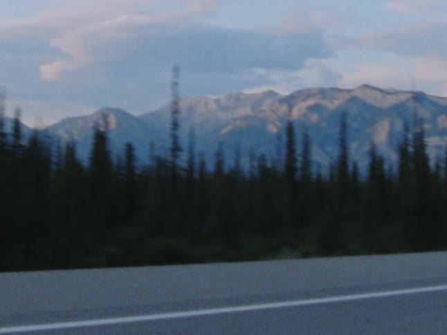 A tree lined road runs past a snow capped mountain range