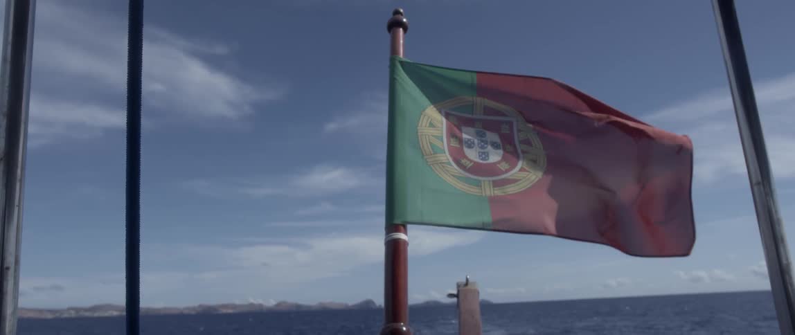 A flag waves in the wind