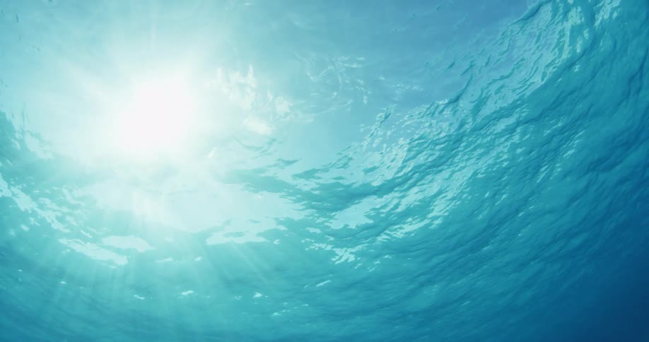 Sunlight filters through the surface of the ocean