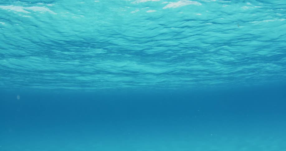 The surface of the ocean is moving up and down