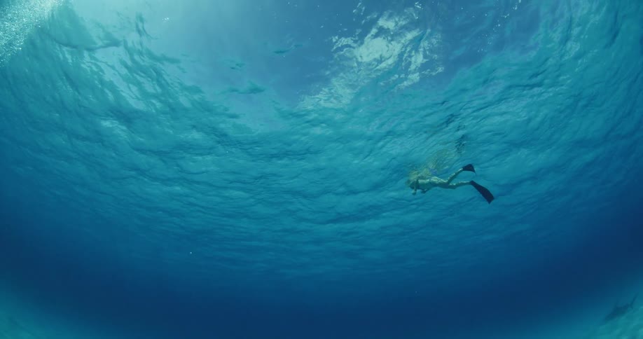A scuba diver swims on the surface