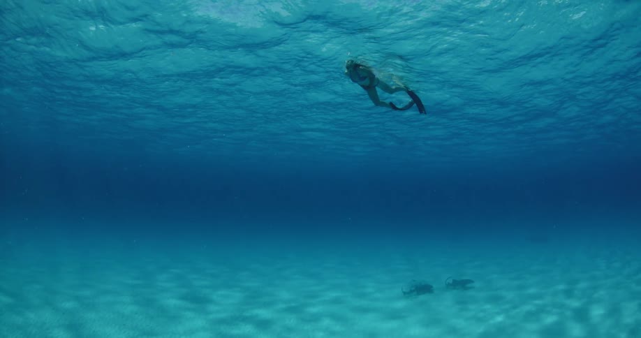 Woman swimming underwater