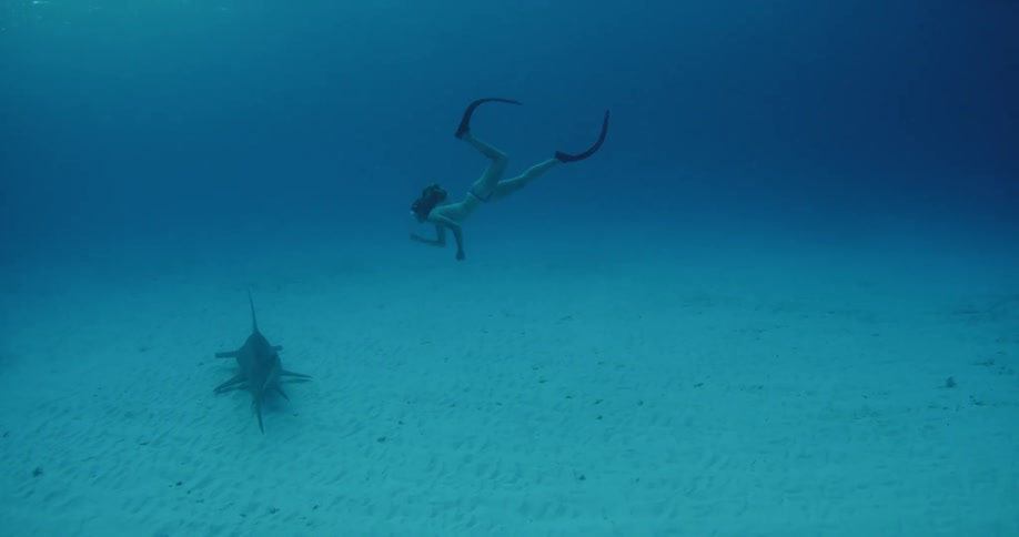 A woman dives towards a shark traveling along the sand underwater