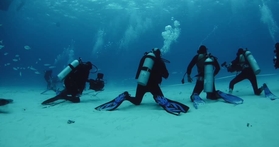 Divers swim with fish near the ocean floor