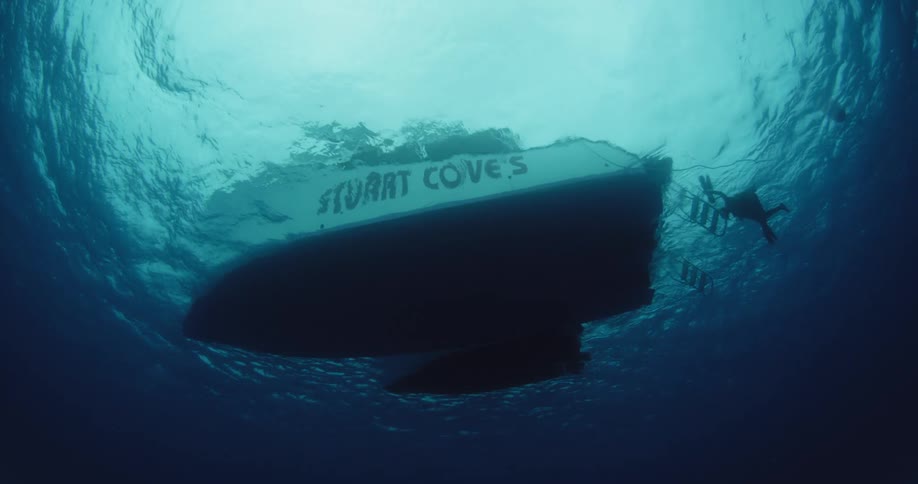 A boat floats on the surface