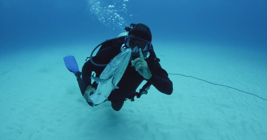 Scuba diver holding a fish from near its tail