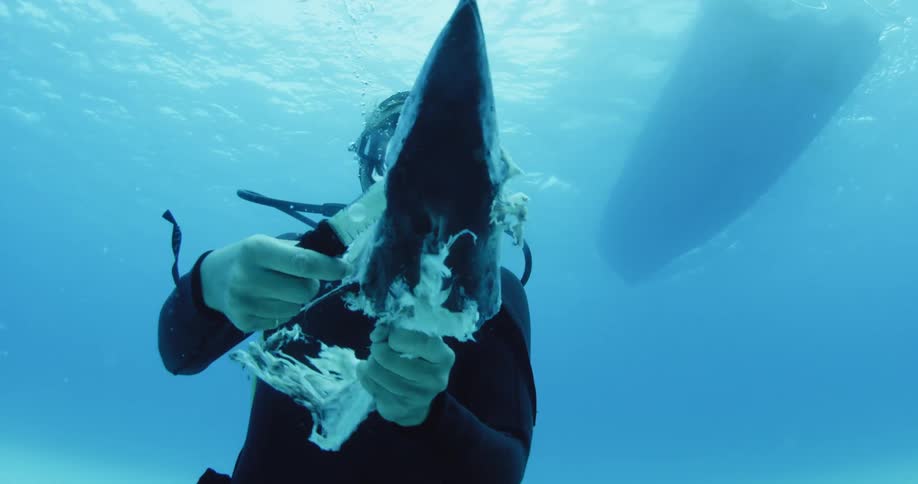 A scuba diver stabbing a knife into a fish carcass while underwater