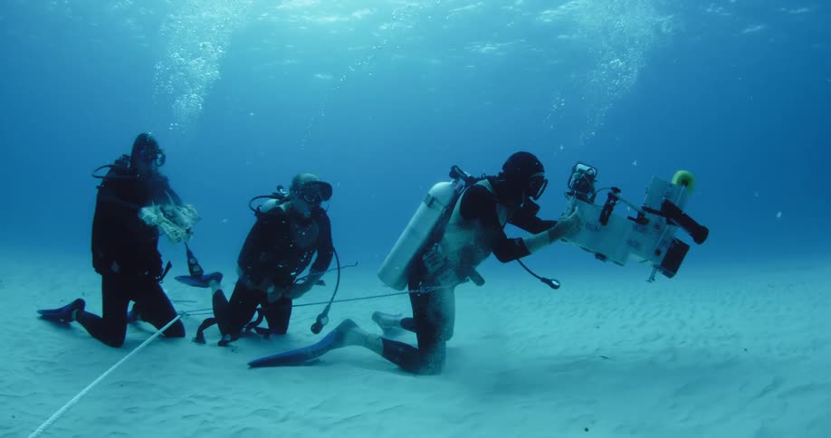 A group of divers with camera preparing to film