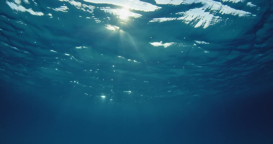 The sun shines through blue ocean water