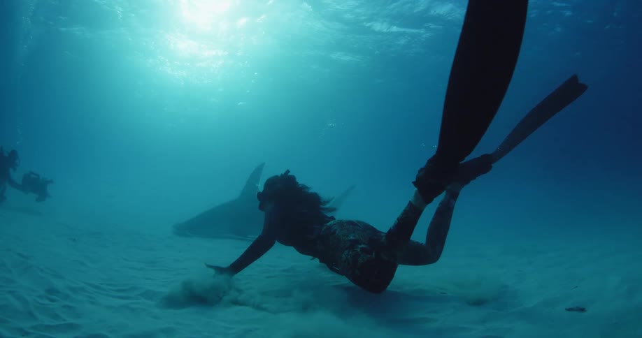 A diver swims with a shark near a sandy seabed