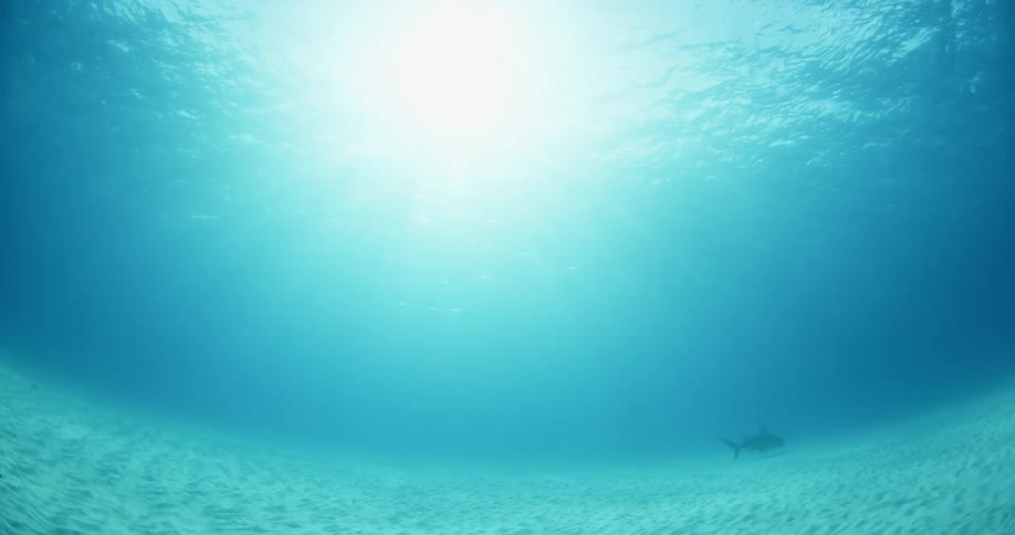 The sun is bright shining in the water above