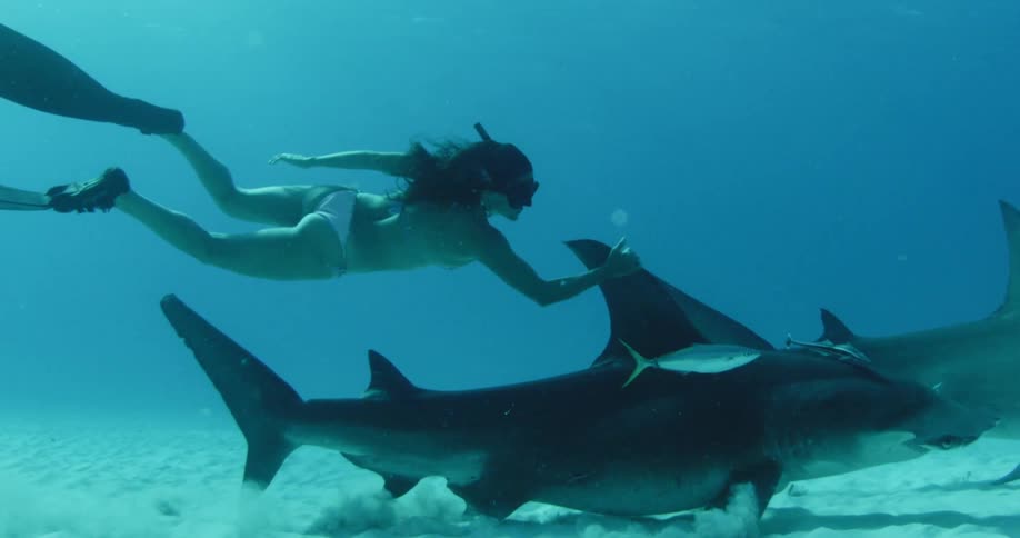 A female diver is grabbing the back fin of a shark on the ocean floor