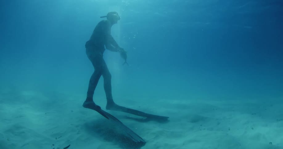 A scuba diver is cutting a fish at the bottom of the water
