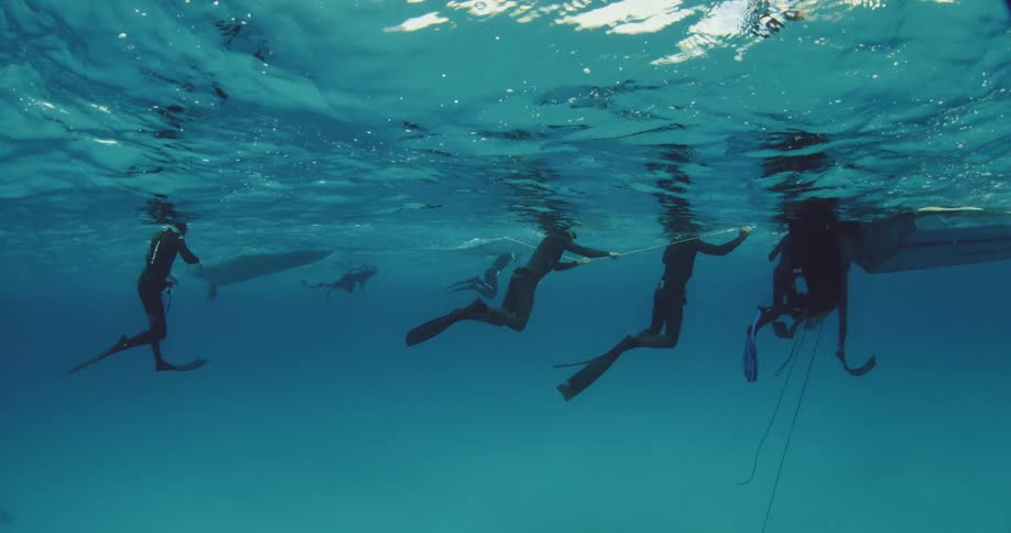 Several scuba divers swimming close to the surface of the water